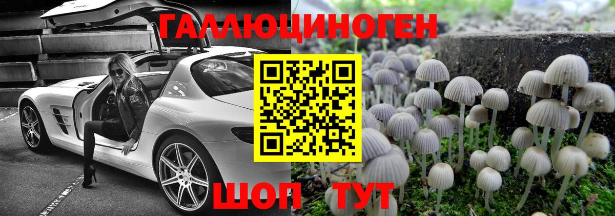 Самара  Галлюциногенные грибы прущие грибы  Вход с VPN 